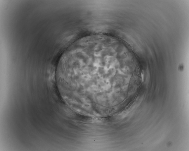 X0000102411251200808151957