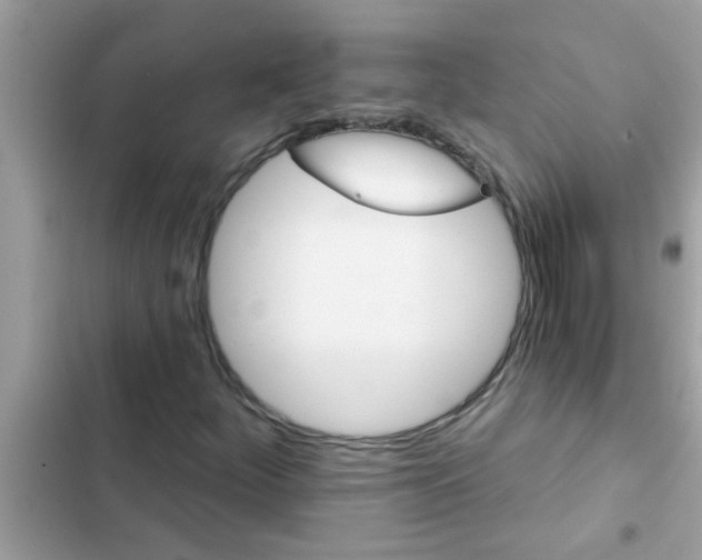 X0000102411252200808151957