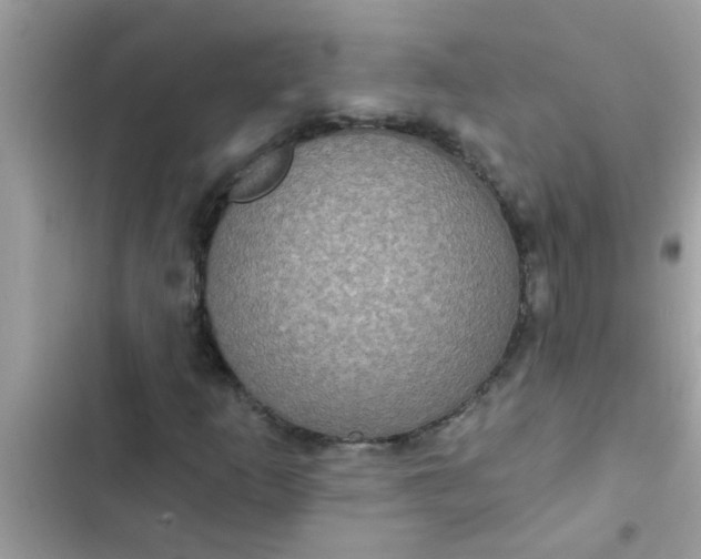 X0000102411253200808151957