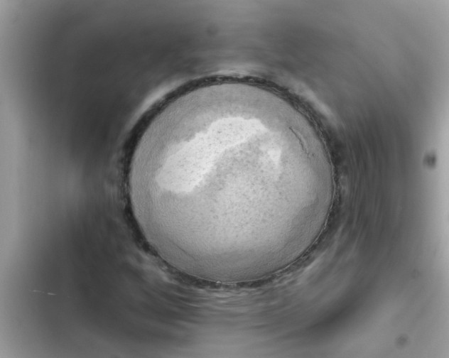 X0000102411256200808151957