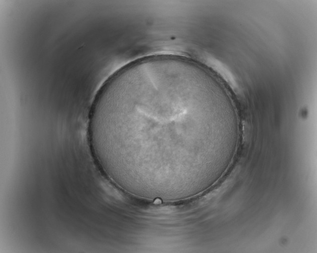 X0000102411260200808151957