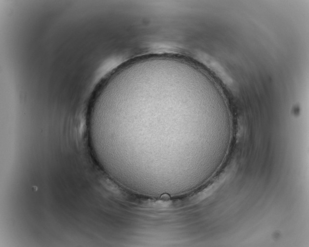 X0000102411261200808151957