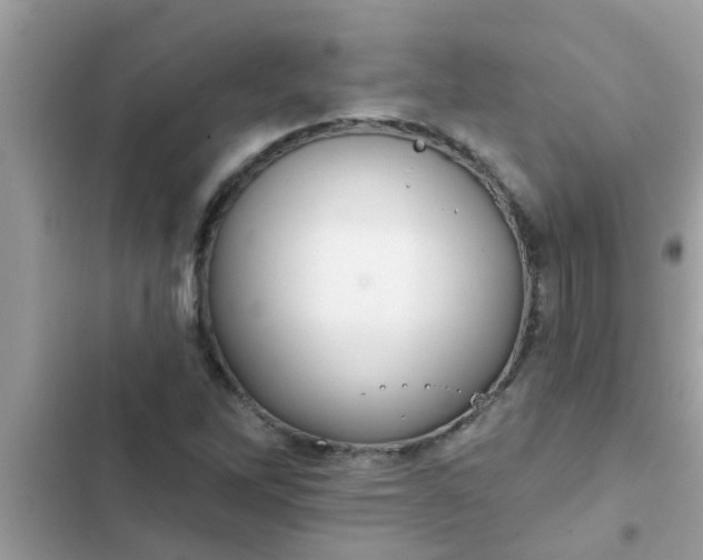 X0000102411262200808151957