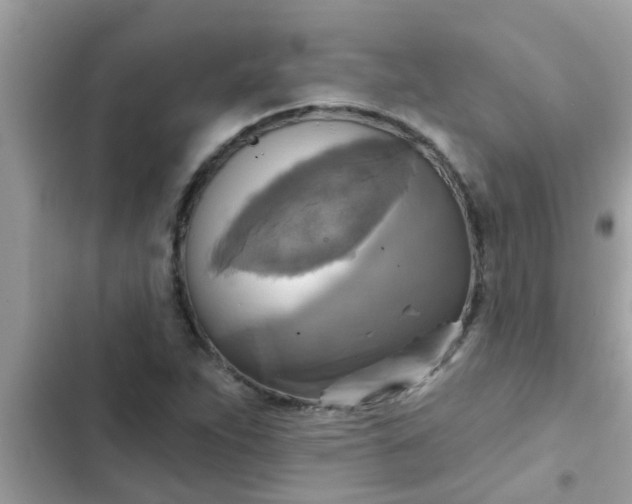 X0000102411263200808151957