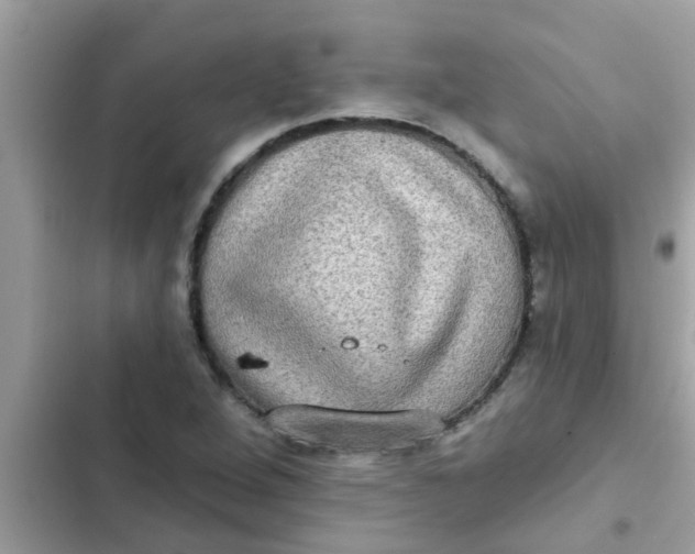 X0000102411264200808151957