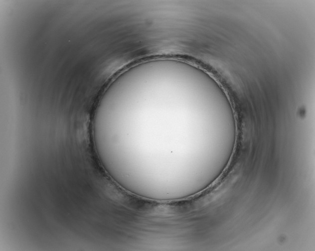 X0000102411265200808151957