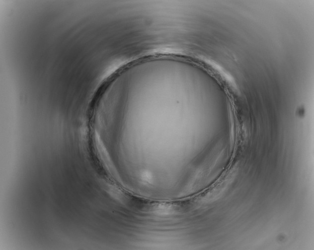 X0000102411266200808151957