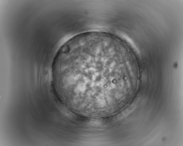 X0000102411267200808151957