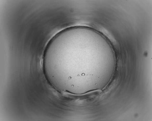 X0000102411268200808151957