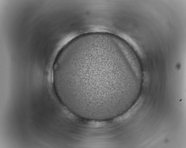 X0000102411269200808151957