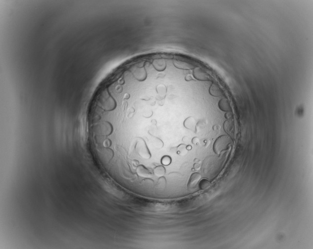 X0000102411271200808151957