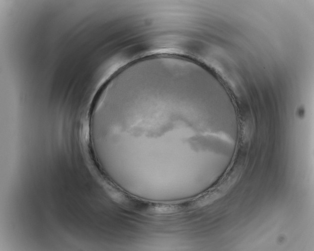 X0000102411274200808151957