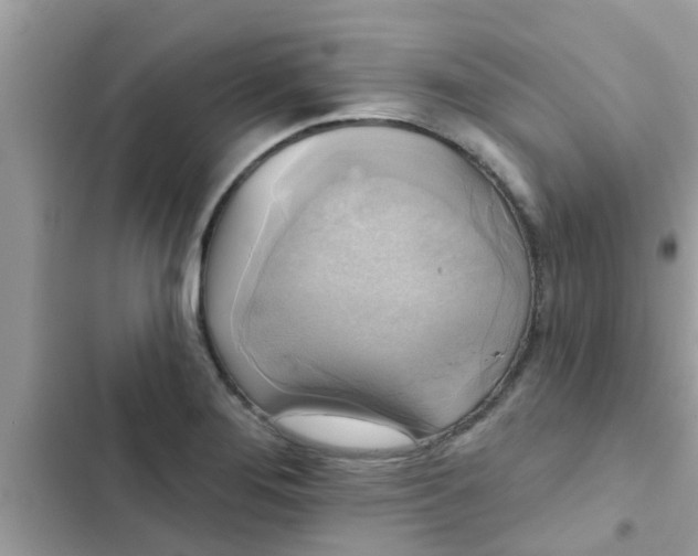 X0000102411276200808151957