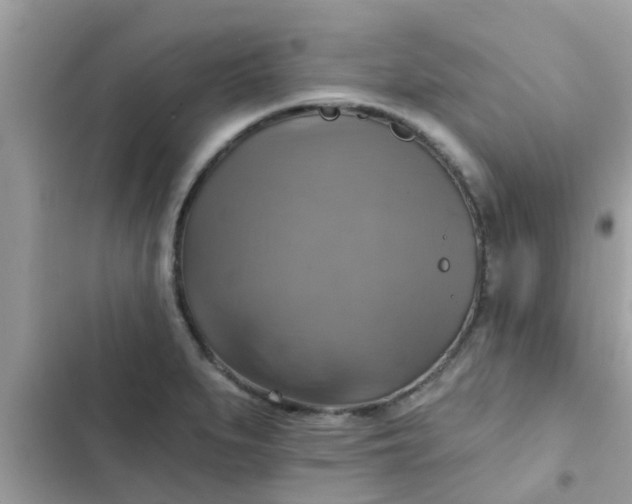 X0000102411279200808151957