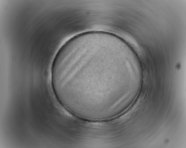 X0000102411280200808151957