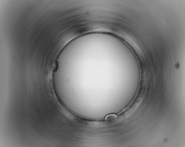 X0000102411281200808151957