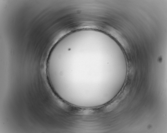 X0000102411282200808151957