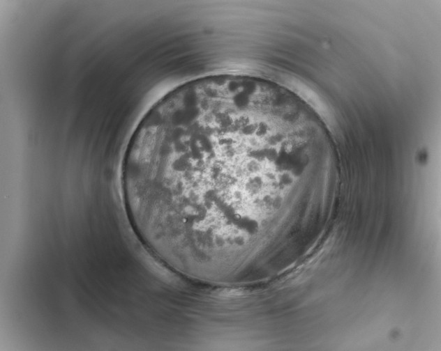 X0000102411283200808151957