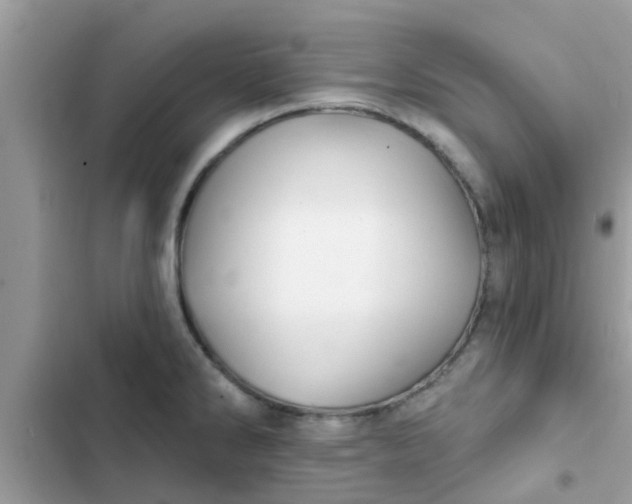 X0000102411286200808151957