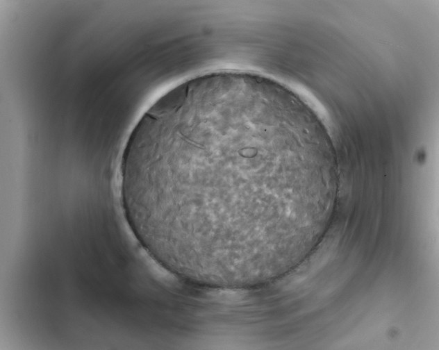 X0000102411287200808151957