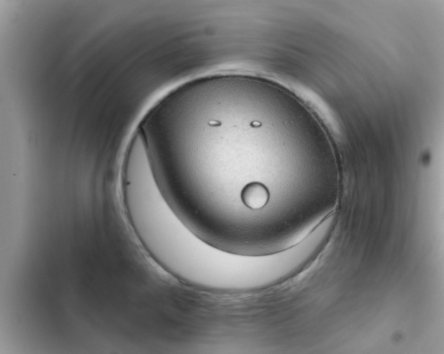 X0000102411288200808151957