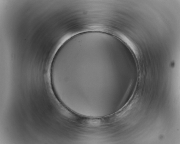 X0000102411291200808151957