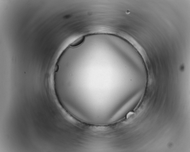 X0000102411293200808151957