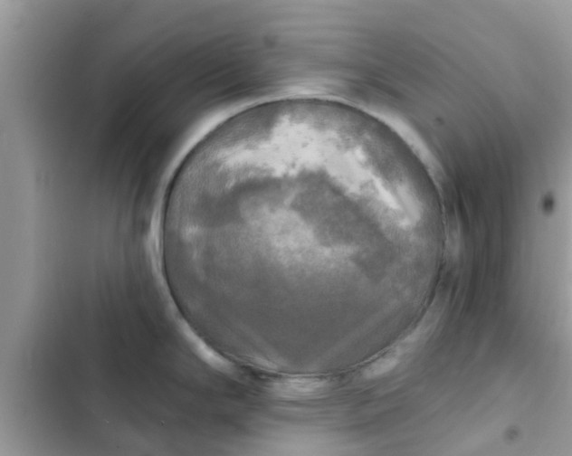 X0000102411294200808151957