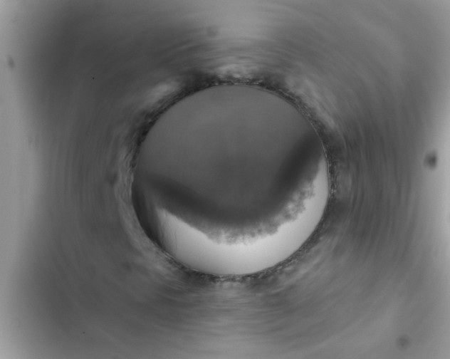 X0000102411297200808151956