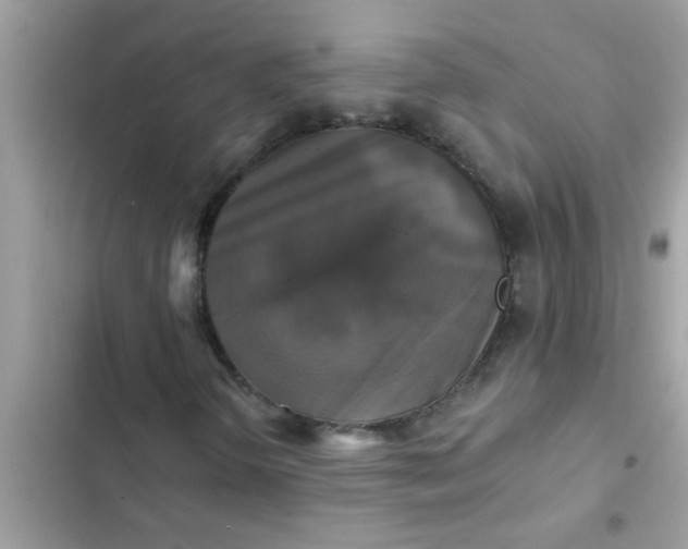 X0000102411298200808151956