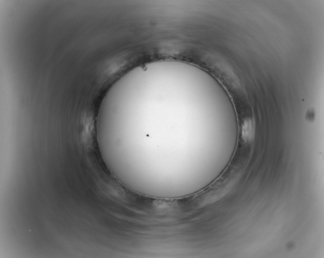 X0000102411299200808151956