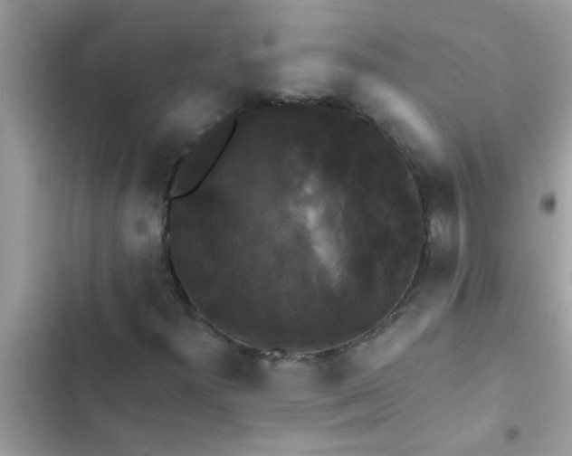 X0000102411300200808151956