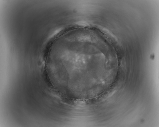 X0000102411302200808151956