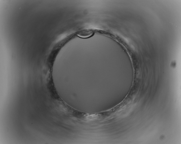 X0000102411303200808151956