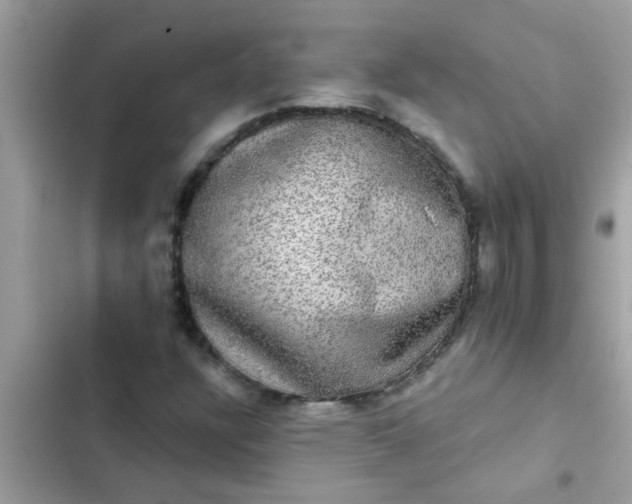 X0000102411304200808151956