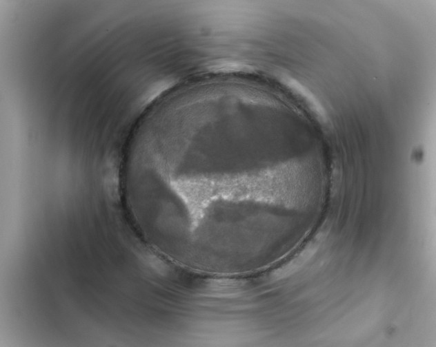 X0000102411305200808151956