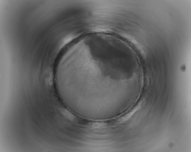 X0000102411306200808151956