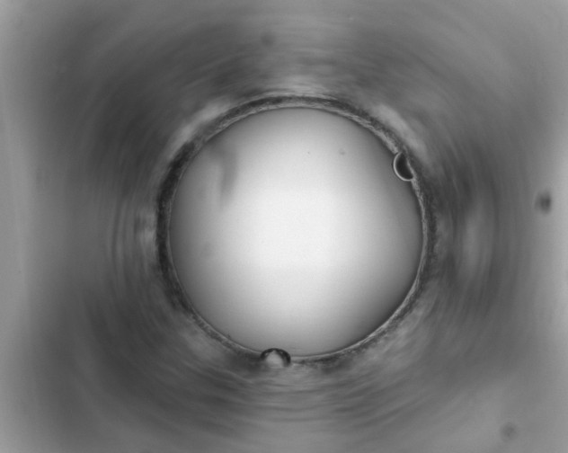 X0000102411307200808151956