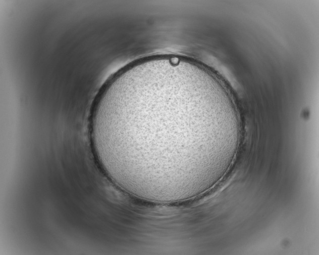 X0000102411308200808151956