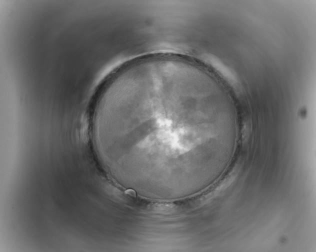 X0000102411310200808151956