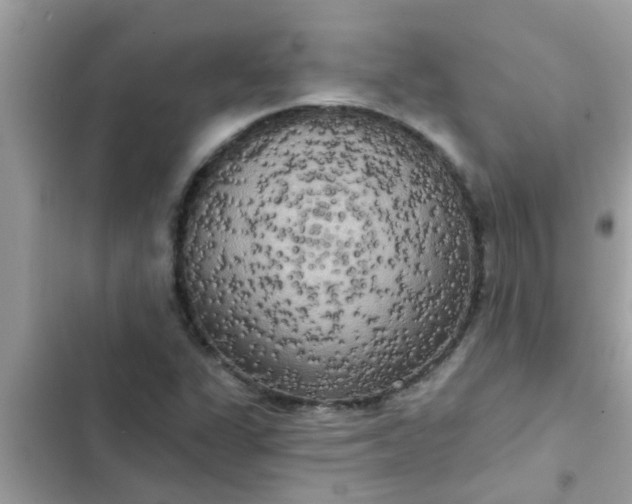 X0000102411311200808151956