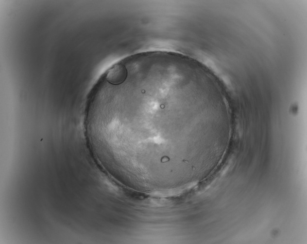 X0000102411312200808151956