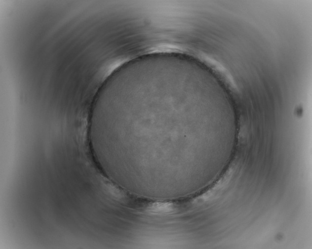 X0000102411313200808151956