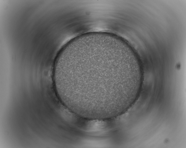 X0000102411314200808151956