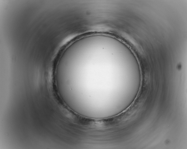 X0000102411315200808151956