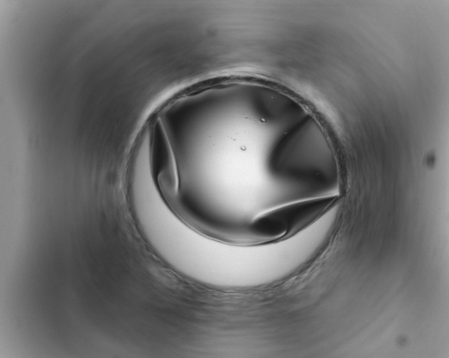 X0000102411316200808151956