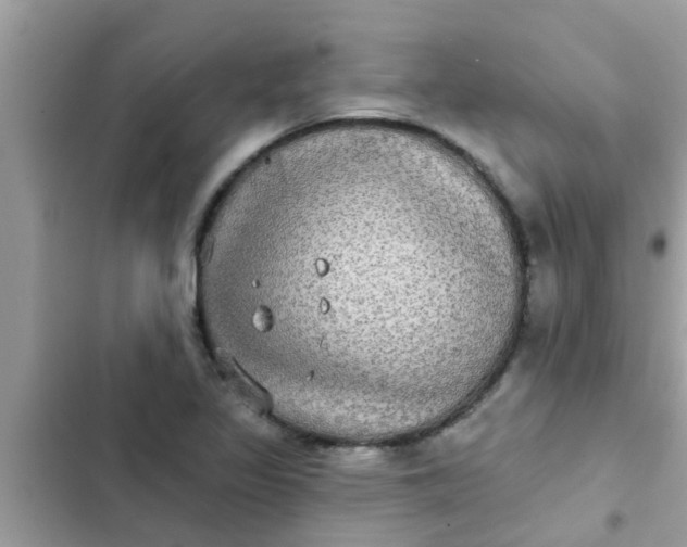 X0000102411317200808151956