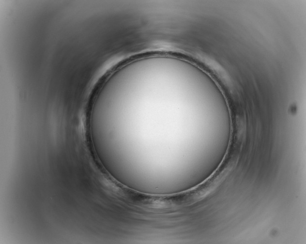 X0000102411318200808151956