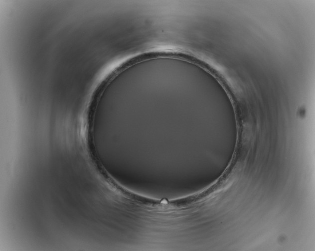 X0000102411319200808151956