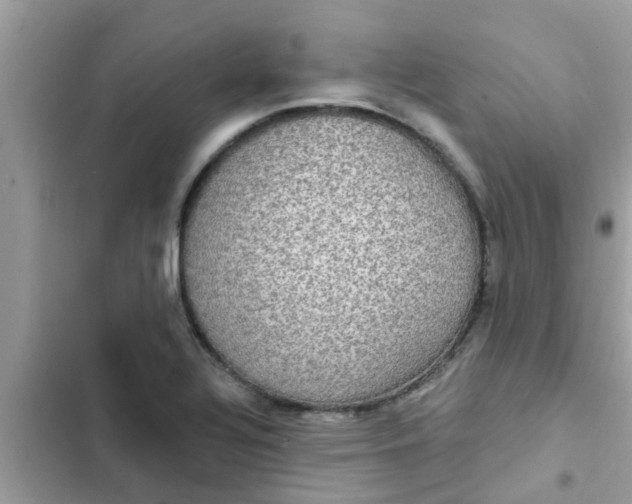 X0000102411320200808151956